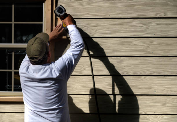 Best Stone Veneer Siding  in La Vergne, TN